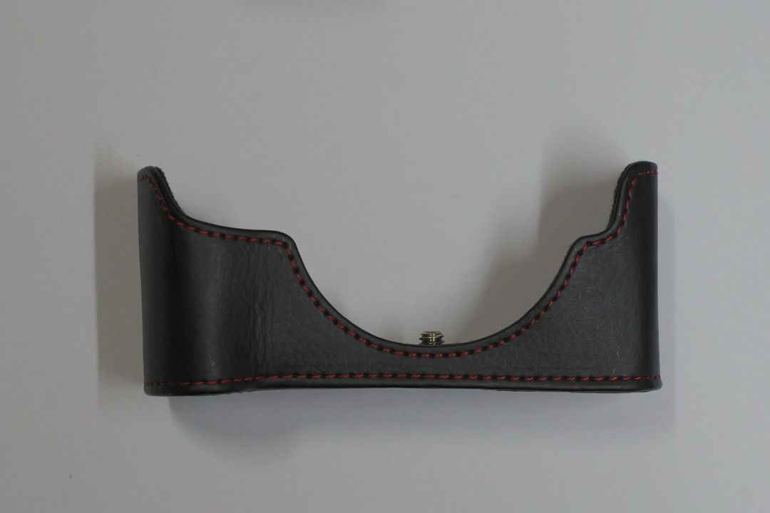 파나소닉 루믹스 GX1 + 14-42 렌즈--2