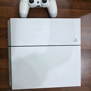 PS4 커펌가능버전 500기가 이미지