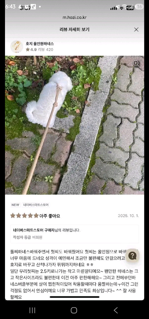 호지 올인원 하네스 HOZI 이탈리안그레이하운드 강아지용품 이미지