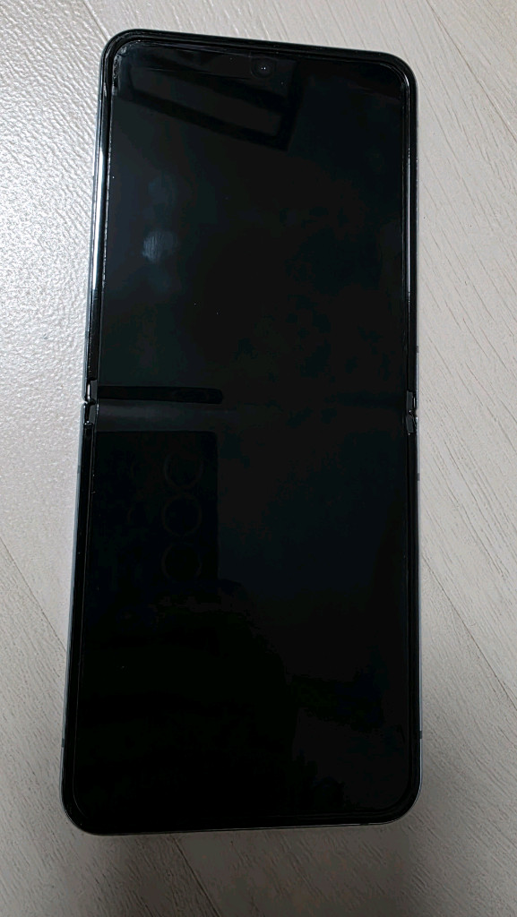 갤럭시 Z 플립4 256GB 블루 (SM-F721N) 이미지