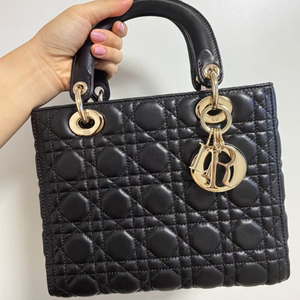 디올 레이디 디올