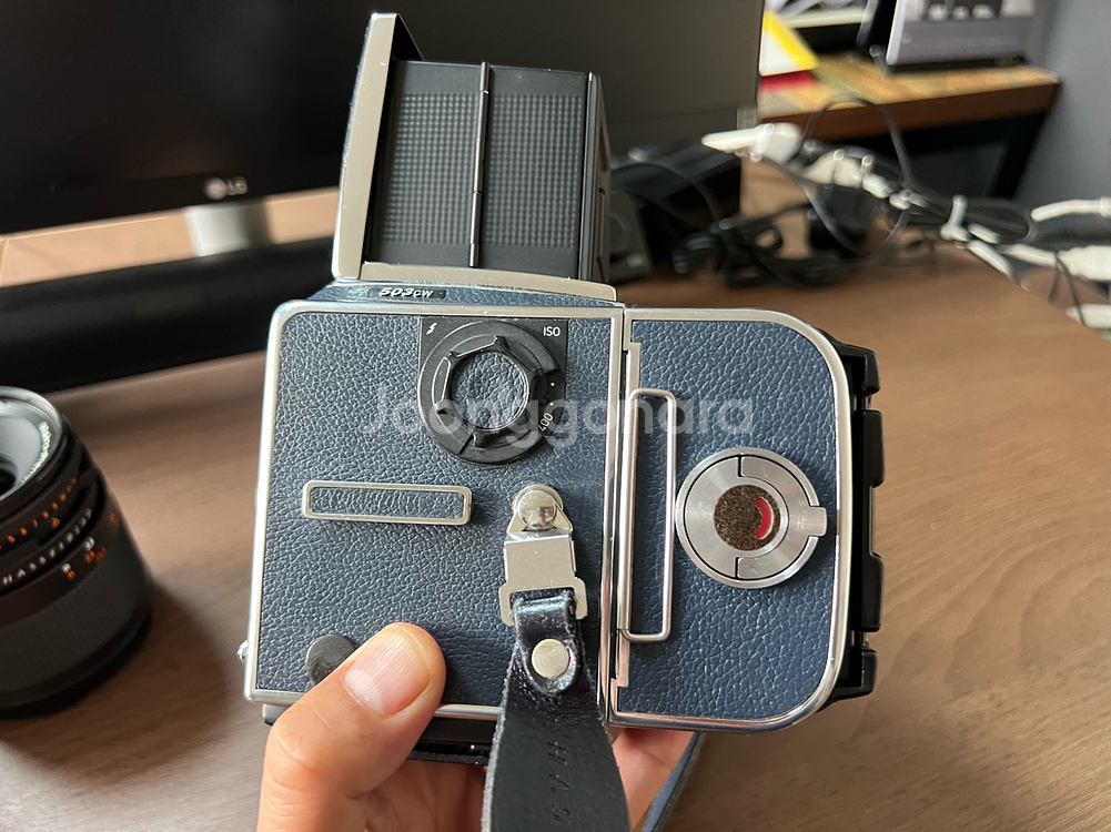 핫셀블라드 503cw 판매 상태 좋음--6