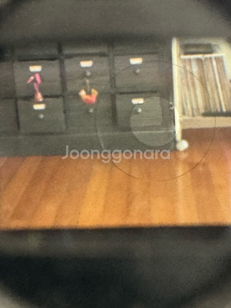 니콘 F2 블랙 삼각뿔 + 50.8 ais 팬케익--8