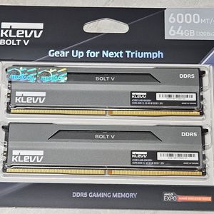 ESSENCORE KLEVV DDR5-6000 CL30 BOLT V 패키지 서린 (64GB(32Gx2))