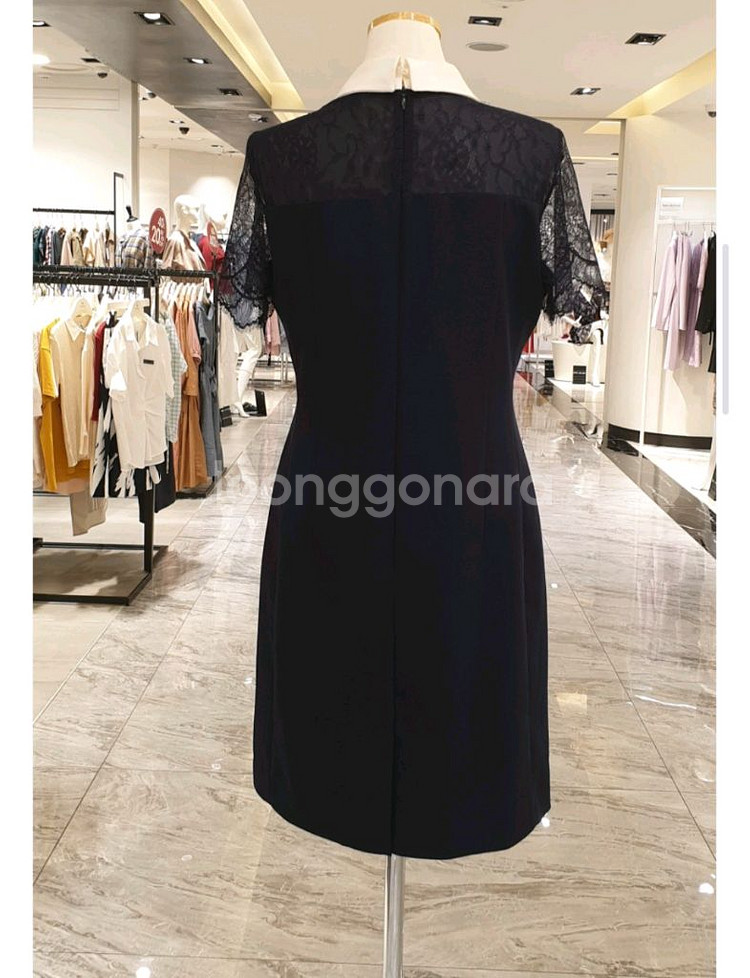 JJ지고트 레이스 소매 카라 원피스 (55사이즈 추천)--1