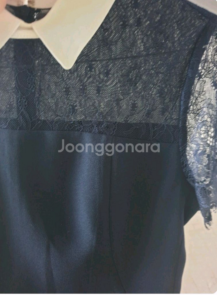 JJ지고트 레이스 소매 카라 원피스 (55사이즈 추천)--2