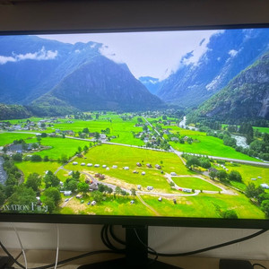 삼성 오디세이 G5 LS27DG500 QHD 27인치 180hz 게이밍 모니터 팝니다