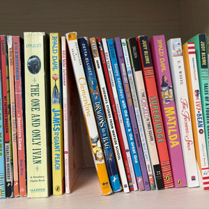 파커, MI 노블 교재 등등 원서 일괄