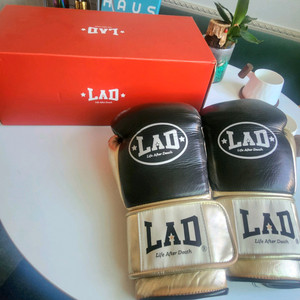 LAD 라드 복싱 글러브 10온스