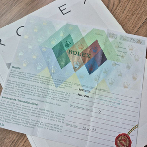 롤렉스 데이져스트 79173보증서