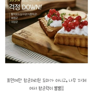 에코바이런 캄보 도마세트