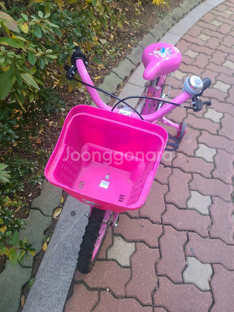 아펙스 16인치 접이식 유아 보조바퀴 자전거--1