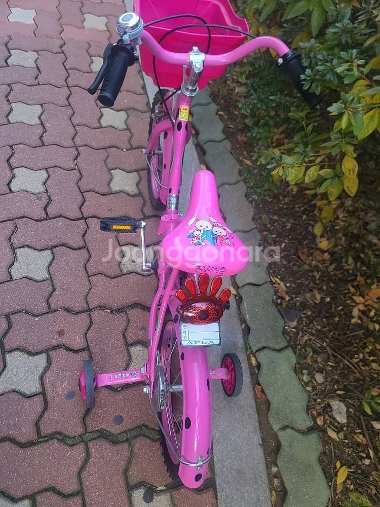 아펙스 16인치 접이식 유아 보조바퀴 자전거--2