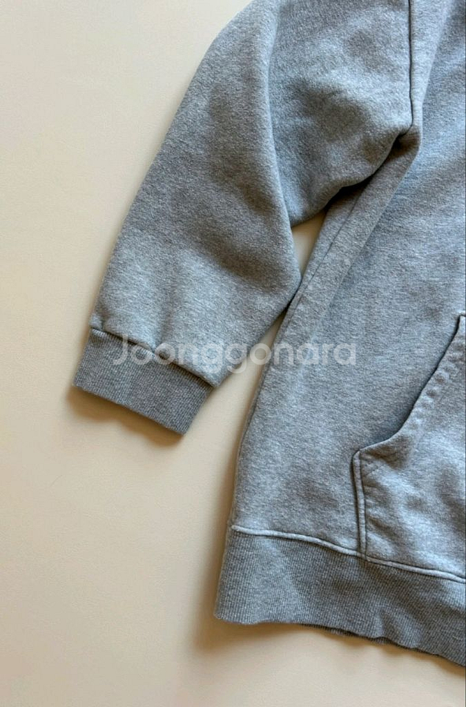 이지스튜디오 타이거 후드티--2