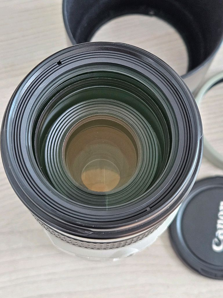 캐논 ef 70-200 f4 is L 형아백통. 1.4ii 익스탠더--3