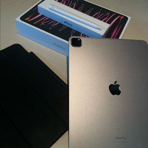 아이패드 프로 12.9 M4 256GB 셀룰러