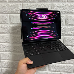 아이패드 프로 11 M2 셀룰러 + 애플펜슬 + 여분촉 + 키보드