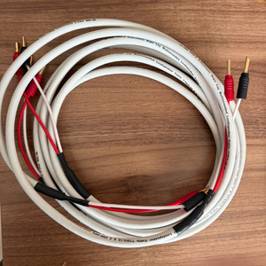 에코세ES2.2스피커케이블2.5m XLO HT PRO 인터케이블1m