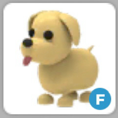 입양하세요 강아지 이미지