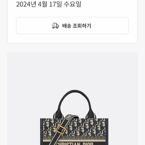 디올 북토트 스몰백