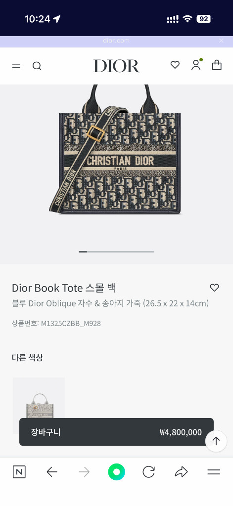 디올 북토트 스몰백--1