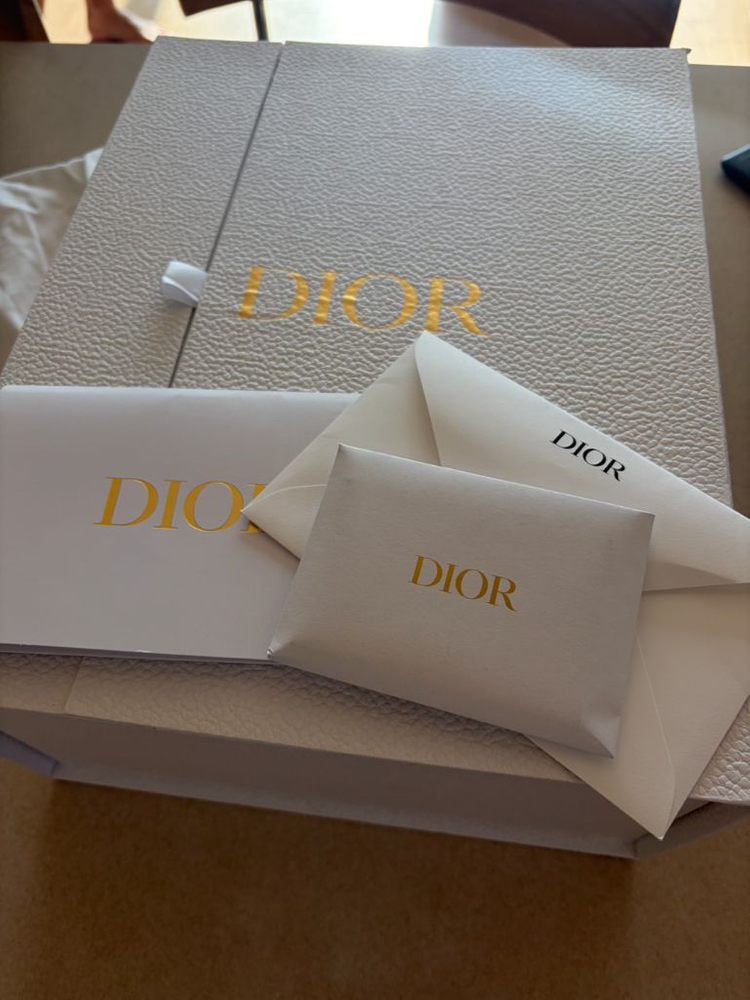 디올 북토트 스몰백--8