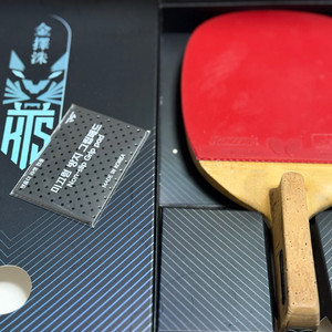 버터플라이 CYPRESS MAX 펜홀더라켓