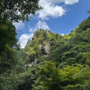 skt 요금 납부 30 구합니다 91%