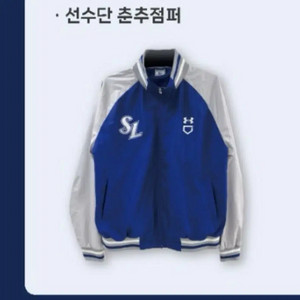 삼성라이온즈 점퍼