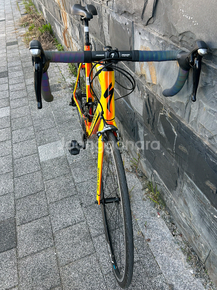 스페셜라이즈드 타막스포츠 판매합니다.--2