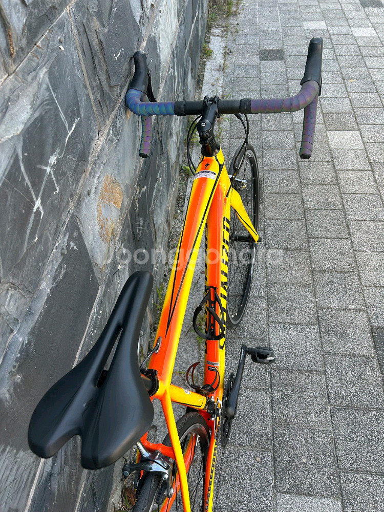 스페셜라이즈드 타막스포츠 판매합니다.--3