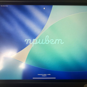 아이패드 M1 5세대 12.9 512g 셀룰러