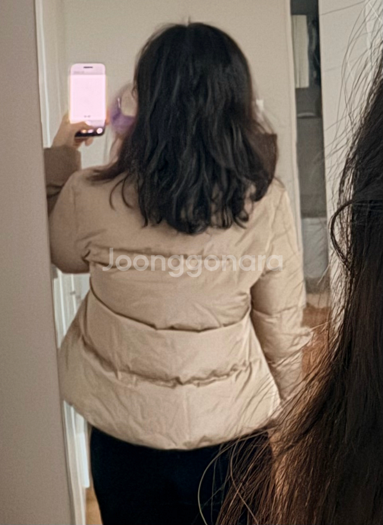 파비아나 필리피 모닐리장식 구스다운 숏패딩 브라운 38--7