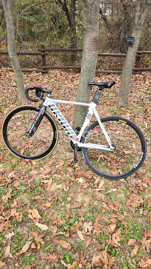 언노운 싱귤러리티2 2023 판/대--0