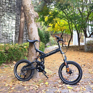 에어니멀 라이노 / 풀샥 미니벨로 (구와하라 가프, 루이가르노, 브롬톤)