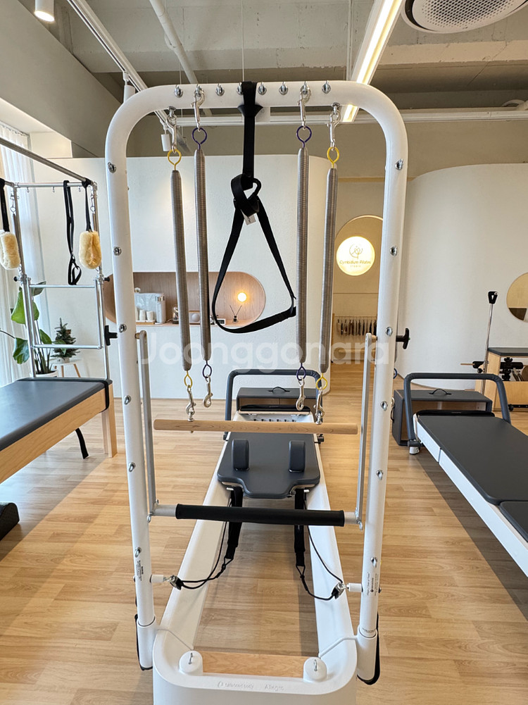 [경상남도]발란스드바디 Allegro2 타워리포머/ 풀옵션 / 상태최상--0