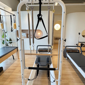 [경상남도]발란스드바디 Allegro2 타워리포머/ 풀옵션 / 상태최상