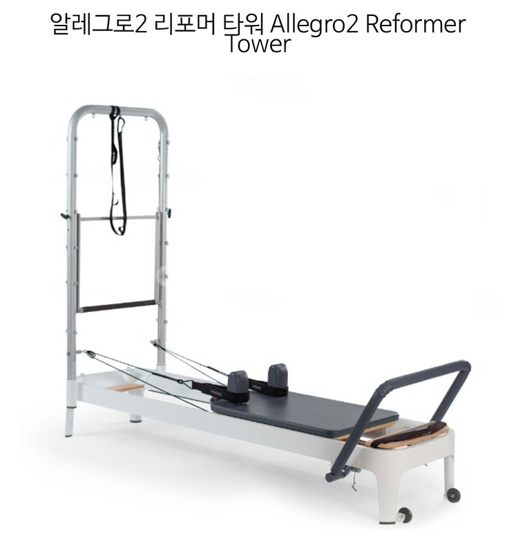 [경상남도]발란스드바디 Allegro2 타워리포머/ 풀옵션 / 상태최상--1