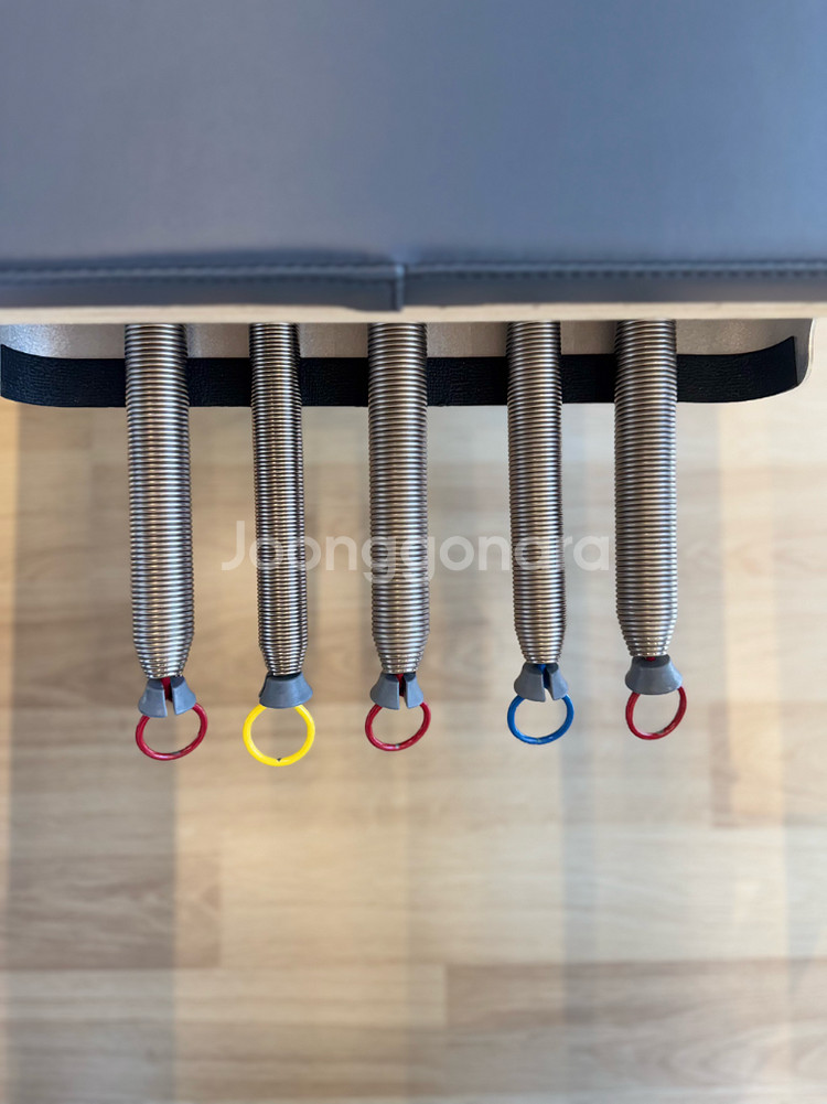 [경상남도]발란스드바디 Allegro2 타워리포머/ 풀옵션 / 상태최상--4