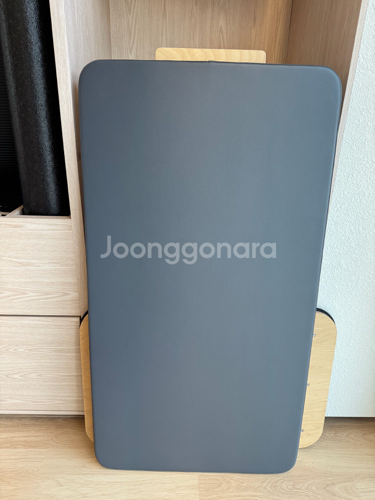 [경상남도]발란스드바디 Allegro2 타워리포머/ 풀옵션 / 상태최상--7