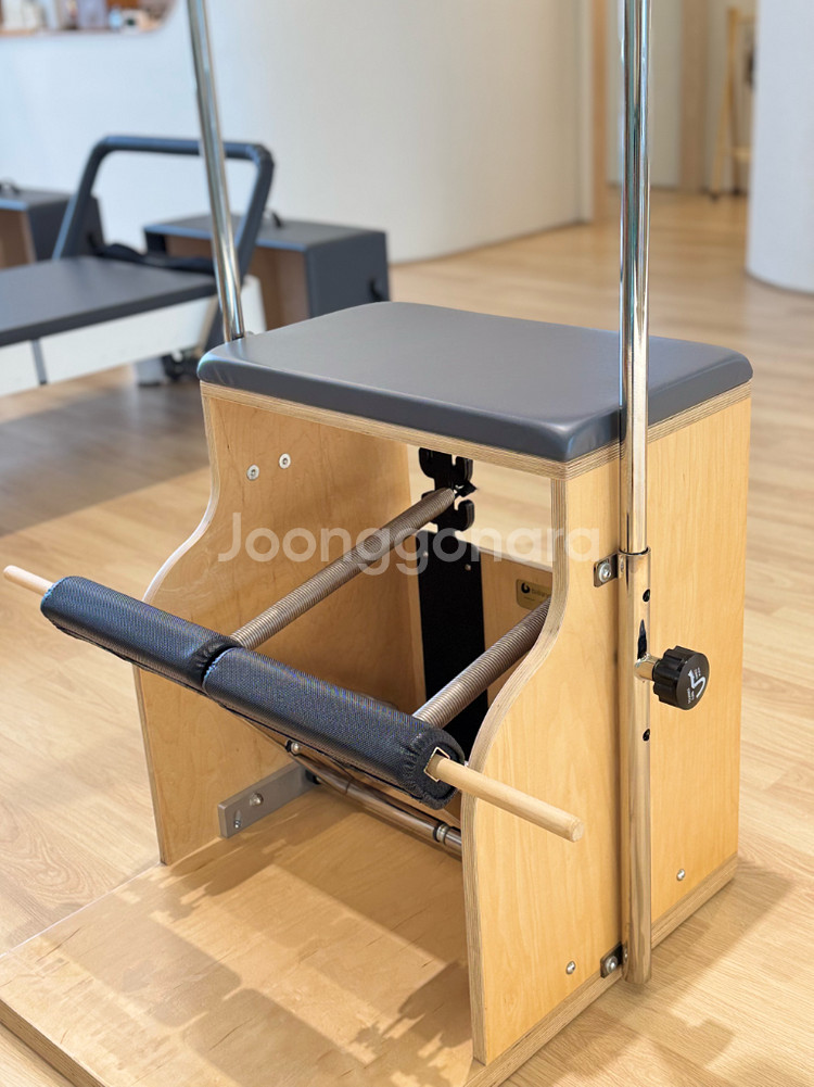 [경상남도]발란스드바디 Allegro2 타워리포머/ 풀옵션 / 상태최상--8