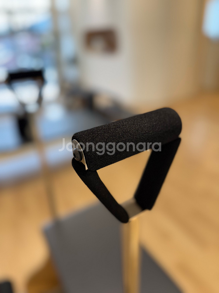 [경상남도]발란스드바디 Allegro2 타워리포머/ 풀옵션 / 상태최상--9