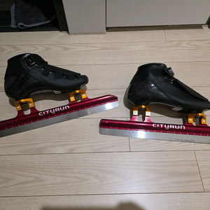 시티런 스피드 스케이트 210mm 과천청사역직거래