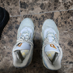 아디다스 데임 농구화 300미리