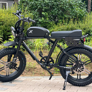 엑스라이더 X200 MAX 판매 전기자전거 자토바이