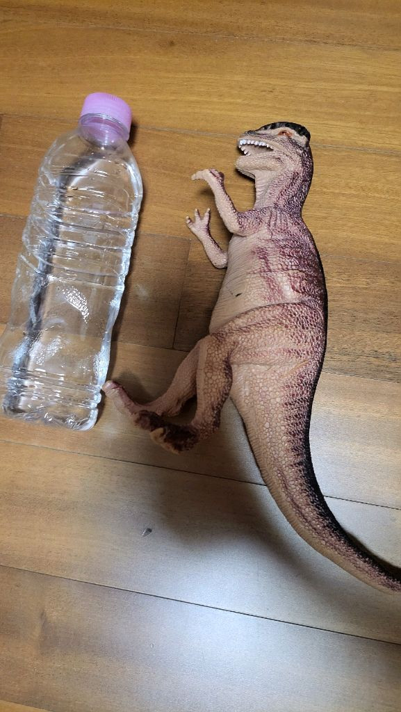 대형 공룡 피규어 4마리 판매합니다--3