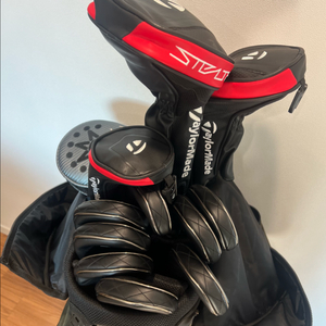 테일러메이드 스텔스 + 타이틀리스트 CB + 로마로 + 스카티카메론 PXG