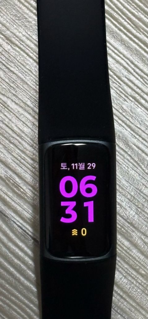 핏빗 차지5 스마트워치--1