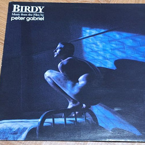 Birdy from the film by Peter Gabrel UK음반