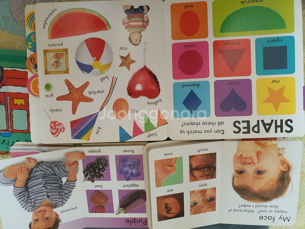 영어 보드북 영어책 26권 이사정리--2